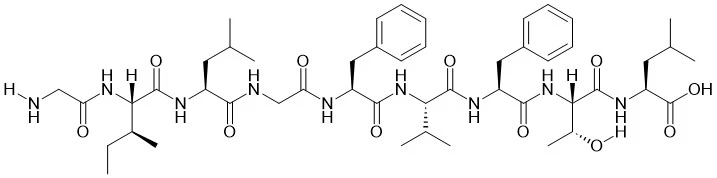 Matrix Protein M1 (58-66) (Influenza A Virus)