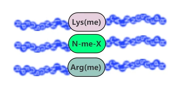 Methylated Peptides