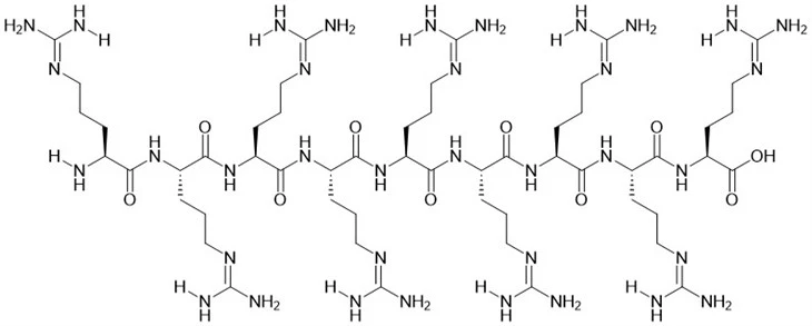 R9 Peptides