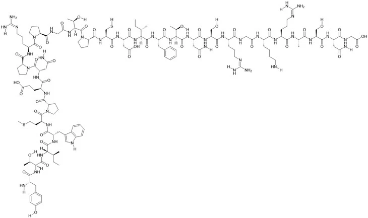 RVG 29