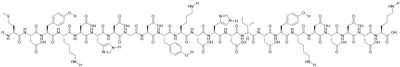 3 x Flag Peptide