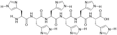 6 × Nws Peptide
