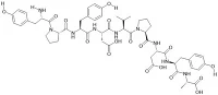 HA Peptide