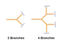 Ntau Antigenic Peptides