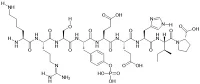 Neuropeptide F (NPF), Tib neeg