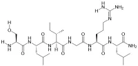 PAR-2 (1-6) Amide (nas, nas)