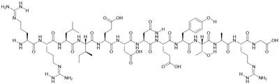 Pp60 (v-SRC) Autophosphorylation Site, Protein Tyrosine Kinase Substrate