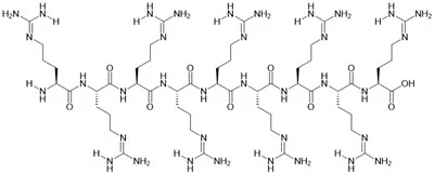 R9 Peptides