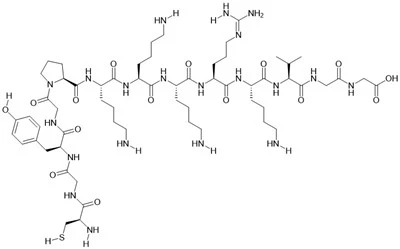 SV40 Nuclear Transport Signal Peptide Analog